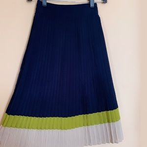 Eloquii Color Block Navy Blue Pleated Skirt.